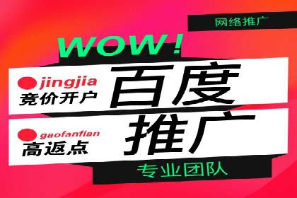 信息流代理实战：精准广告投放案例分析